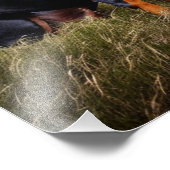 Doberman Pinscher Fotodruck (Ecke)