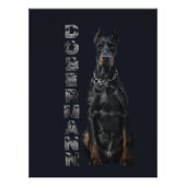Doberman Pinscher Fotodruck (Vorne)