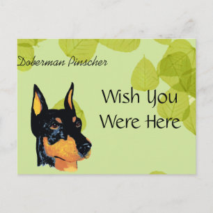 Doberman Pinscher ~ Green Blätter Design Postkarte