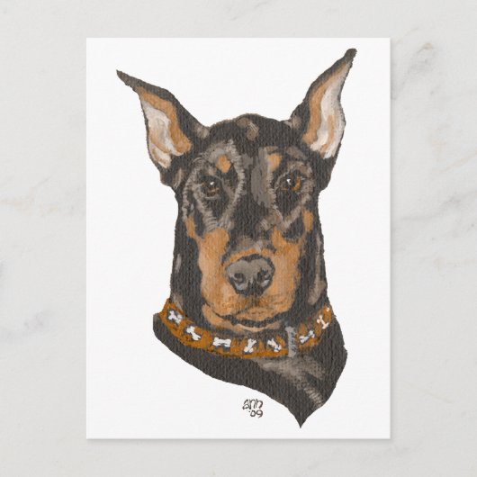 Doberman Pinscher Head Study Postkarte (Vorderseite)