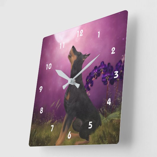 Doberman Pinscher im Blick auf den Mond Quadratische Wanduhr (Winkel)