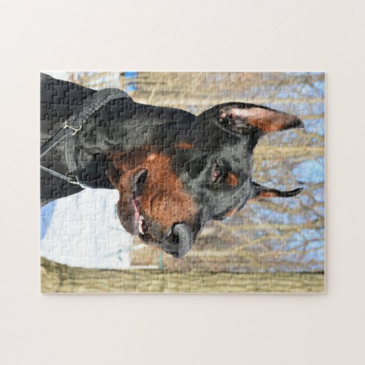 Doberman pinscher im Schnee Puzzle (Horizontal)