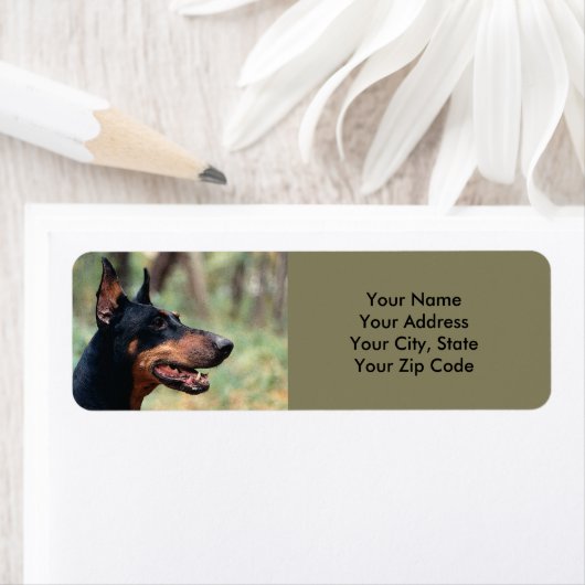 Doberman Pinscher im Wald (Insitu)