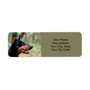 Doberman Pinscher im Wald