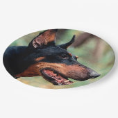 Doberman Pinscher im Wald Pappteller (Schrägansicht)