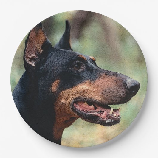 Doberman Pinscher im Wald Pappteller (Vorderseite)