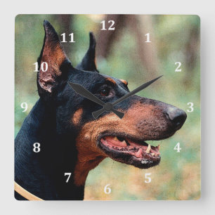 Doberman Pinscher im Wald Quadratische Wanduhr