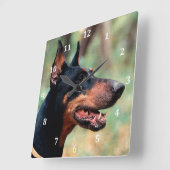 Doberman Pinscher im Wald Quadratische Wanduhr (Winkel)