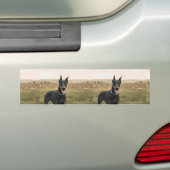 Doberman Pinscher in Field Autoaufkleber (Auf Auto)
