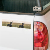 Doberman Pinscher in Field Autoaufkleber (Auf Lkw)