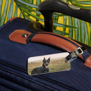Doberman Pinscher in Field Gepäckanhänger