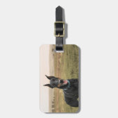Doberman Pinscher in Field Gepäckanhänger (Vorderseite vertikal)