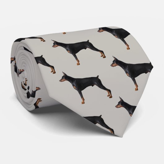 Doberman Pinscher Krawatte (Gerollt)