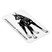 Doberman Pinscher Magnet (Rechte Seite)