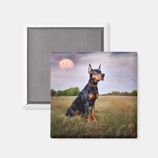 Doberman Pinscher Magnet (Vorderseite/Rückseite)