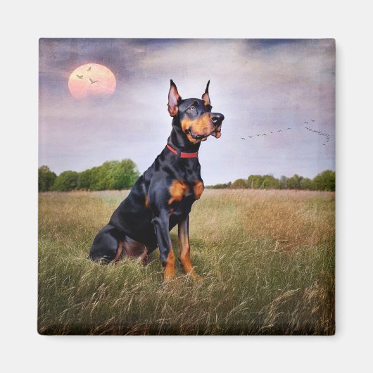 Doberman Pinscher Magnet (Vorne)