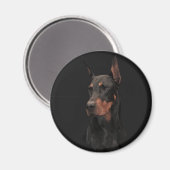 Doberman Pinscher Magnet (Vorderseite/Rückseite)