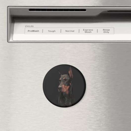 Doberman Pinscher Magnet (In Situ (Geschirrspüler))