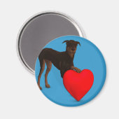Doberman Pinscher mit Herz Magnet (Vorderseite/Rückseite)