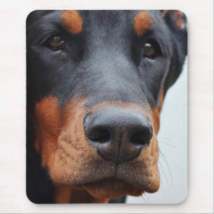 Doberman Pinscher Mousepad