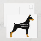 Doberman Pinscher Name Farbe Silo schwarz Postkarte (Vorne/Hinten)