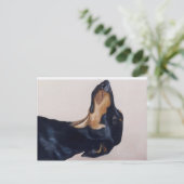 Doberman Pinscher Original Hund Postkarte (Stehend Vorderseite)