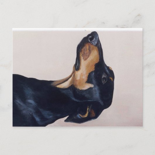 Doberman Pinscher Original Hund Postkarte (Vorderseite)
