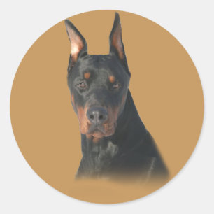 Doberman Pinscher Phantastisch Sticker