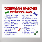 DOBERMAN PINSCHER PL2 POSTER (Vorne)