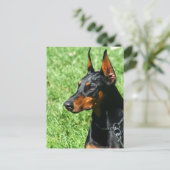 Doberman Pinscher Postcard Postkarte (Stehend Vorderseite)