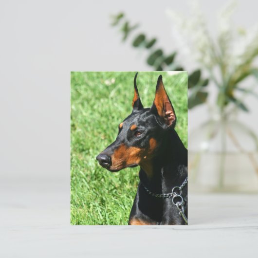 Doberman Pinscher Postcard Postkarte (Stehend Vorderseite)