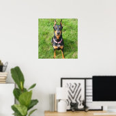 Doberman Pinscher Poster (Heimbüro)