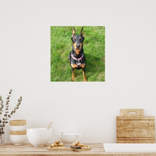 Doberman Pinscher Poster (Küche)
