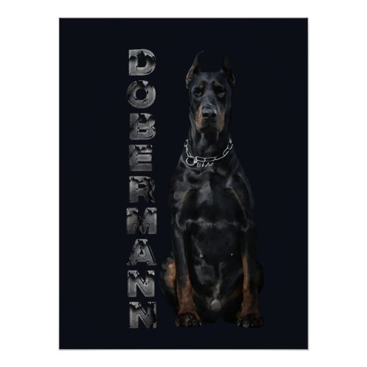 Doberman Pinscher Poster (Vorderseite)
