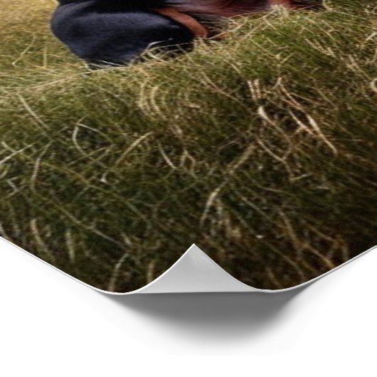 Doberman Pinscher Poster (Ecke)