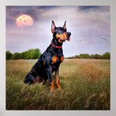 Doberman Pinscher Poster (Vorne)