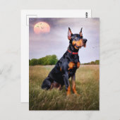 Doberman Pinscher Postkarte (Vorne/Hinten)