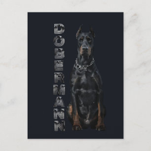 Doberman Pinscher Postkarte