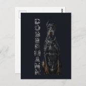 Doberman Pinscher Postkarte (Vorne/Hinten)