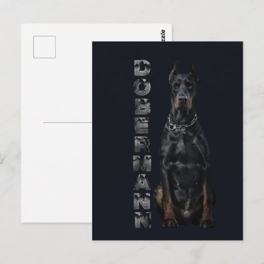 Doberman Pinscher Postkarte (Vorne/Hinten)