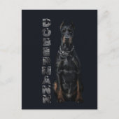 Doberman Pinscher Postkarte (Vorderseite)