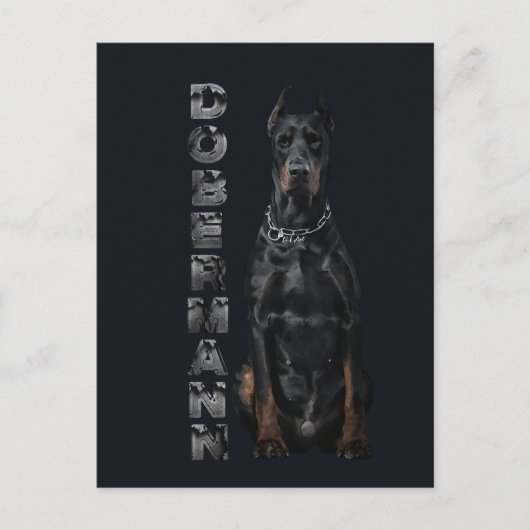 Doberman Pinscher Postkarte (Vorderseite)