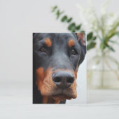 Doberman Pinscher Postkarte (Stehend Vorderseite)