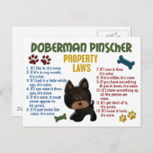 Doberman Pinscher Property Laws 4 Postkarte (Vorne/Hinten)