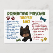 Doberman Pinscher Property Laws 4 Postkarte (Vorderseite)