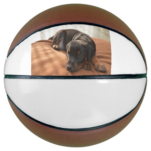 Doberman-pinscher-Puppy Basketball (Vorderseite)