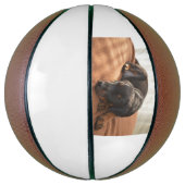 Doberman-pinscher-Puppy Basketball (Vertikal)