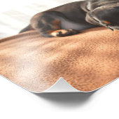 Doberman-pinscher-Puppy Fotodruck (Ecke)