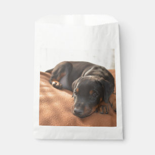 Doberman-pinscher-Puppy Geschenktütchen