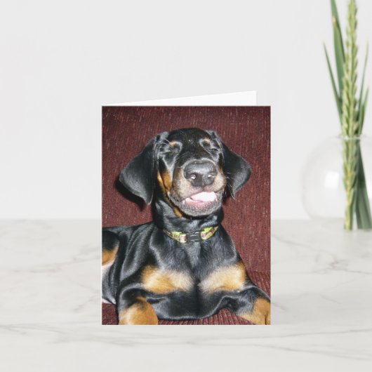 Doberman Pinscher Puppy - leere Note Card Karte (Vorderseite)